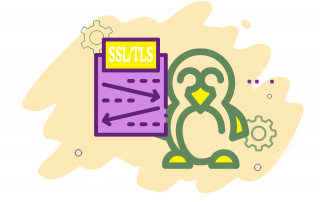 configure ssl and tls for linux